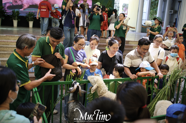 Gợi ý lịch trình 4 ngày tận hưởng trọn vẹn lễ 30-4 tại TP.HCM - Ảnh 1.