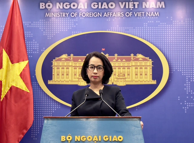 Iran processing procedures for Vietnamese ships to transit Hormuz: foreign ministry- Ảnh 1.