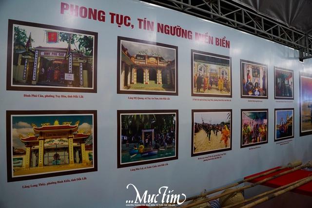 Thưởng thức cá ngừ miễn phí và loạt trải nghiệm đặc sắc tại Lễ hội cá ngừ Đắk Lắk- Ảnh 8.