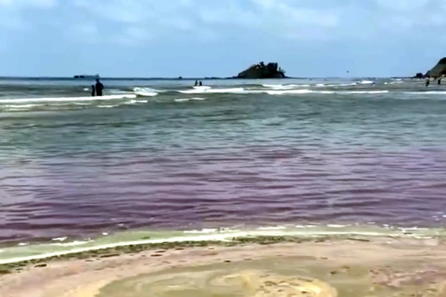 Seawater at beaches in Ho Chi Minh City turns unusual colors, likely due to microalgal bloom- Ảnh 3. Seawater at beaches in Ho Chi Minh City turns unusual colors, likely due to microalgal bloom- Ảnh 3.