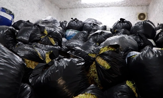 Woman indicted for making 510 tonnes of bean sprouts with banned chemical in northern Vietnam- Ảnh 1. Woman indicted for making 510 tonnes of bean sprouts with banned chemical in northern Vietnam- Ảnh 1.