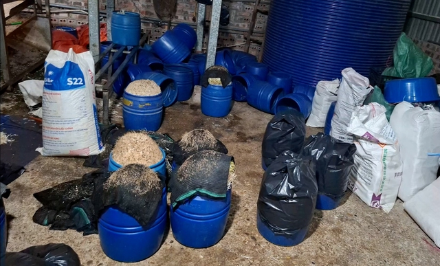 Vietnam uncovers chemically treated bean sprout cases involving up to 2,900 tonnes - Ảnh 1.