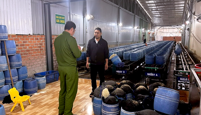 Vietnam uncovers chemically treated bean sprout cases involving up to 2,900 tonnes - Ảnh 2.