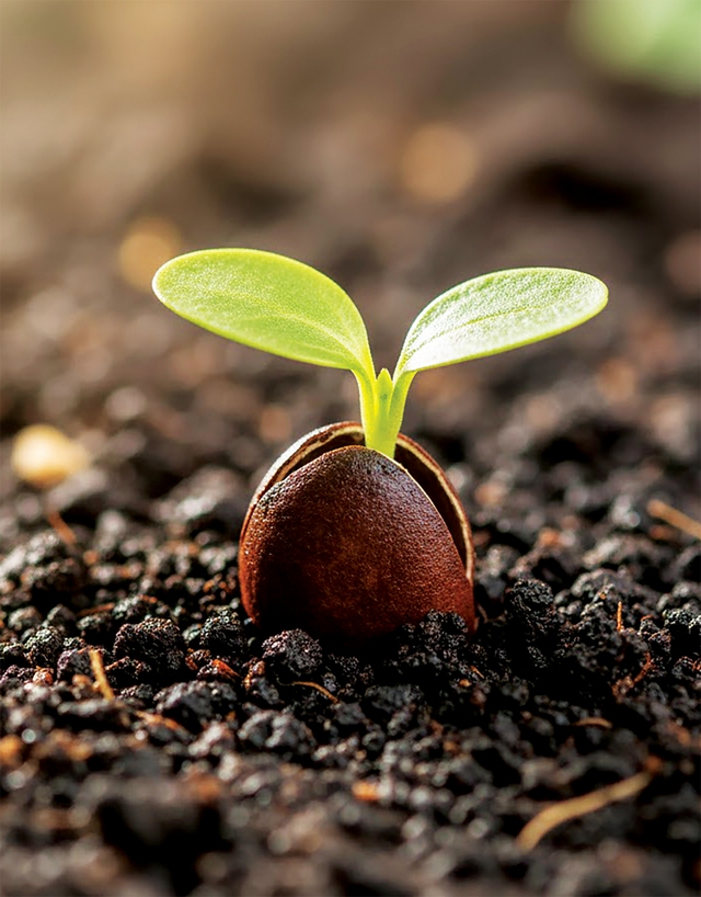 Lời nhắc nhẹ cho một hành trình mà bạn đang theo đuổi - Ảnh 1.