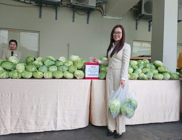 Da Nang to pilot Japanese-style farming zones - Ảnh 1.