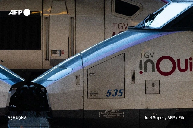 Train driver killed, 27 people injured as French TGV collides with truck- Ảnh 1.