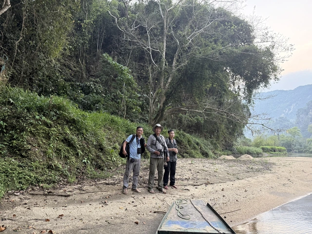 Rare white-eared night heron rediscovered in Vietnam after more than decade - Ảnh 3. Rare white-eared night heron rediscovered in Vietnam after more than decade - Ảnh 3.