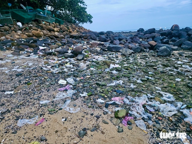 Vietnam launches Hon Yen coral conservation project amid tourism pressures - Ảnh 3.