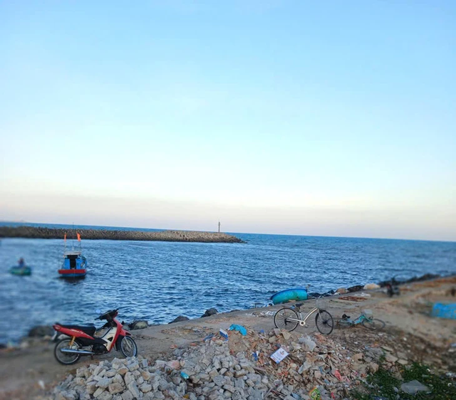 Vibrant life at Lien Huong Fishing Port in Vietnam- Ảnh 21.