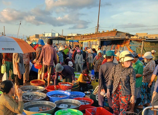 Vibrant life at Lien Huong Fishing Port in Vietnam- Ảnh 2.