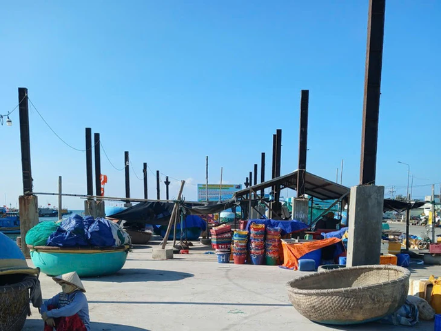 Vibrant life at Lien Huong Fishing Port in Vietnam- Ảnh 3.