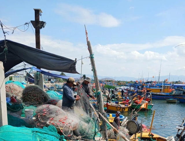 Vibrant life at Lien Huong Fishing Port in Vietnam- Ảnh 8.