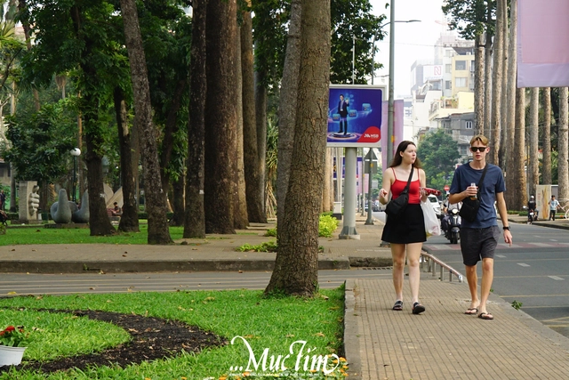 Tối 16-5, cấm xe nhiều tuyến đường trung tâm TP.HCM phục vụ giải chạy đêm- Ảnh 1.