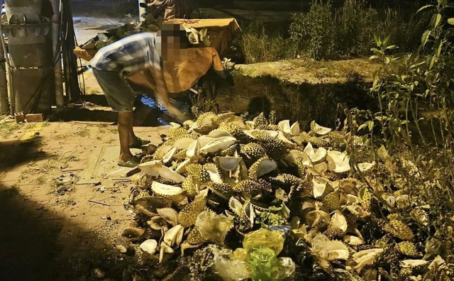 Two fined for illegal dumping in Ho Chi Minh City, ordered to clean up site - Ảnh 2.