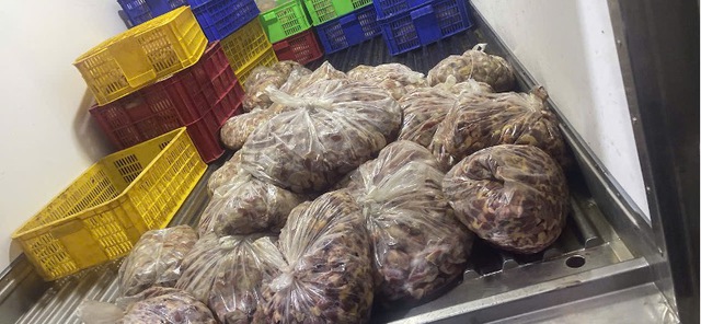 Ho Chi Minh City seizes tonnes of undocumented pork, chicken products - Ảnh 3.