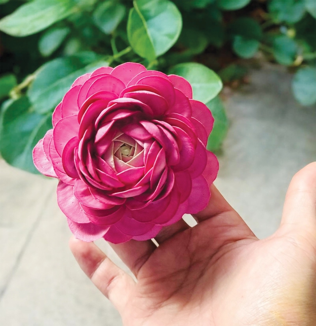 Độc đáo những đóa hoa kem, trông sống động như thật- Ảnh 3. Độc đáo những đóa hoa kem, trông sống động như thật- Ảnh 3.