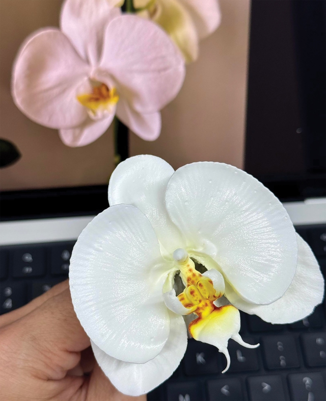 Độc đáo những đóa hoa kem, trông sống động như thật- Ảnh 7. Độc đáo những đóa hoa kem, trông sống động như thật- Ảnh 7.