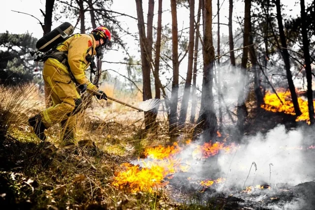 France, Germany send firefighters to help battle Dutch blazes- Ảnh 1.