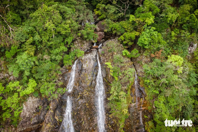 Hidden waterfall deep in Vietnam’s Truong Son jungle rewards one-day trek through primary forest- Ảnh 3.