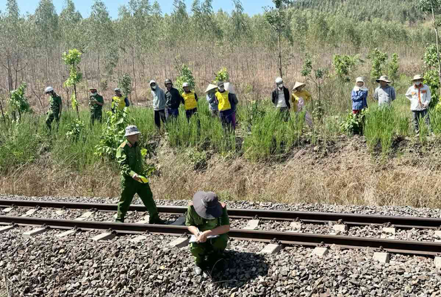 Railway worker killed by freight train in Vietnam- Ảnh 1.