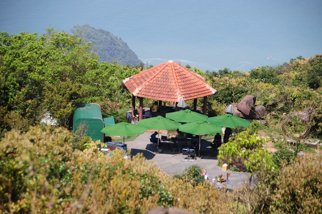 Da Nang launches tour to Son Tra Peninsula inspired by Bill Gates visit - Ảnh 1.