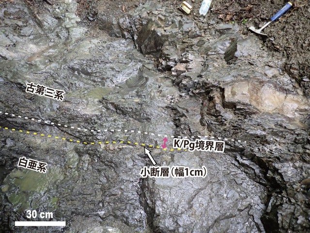 Asteroid traces in Japan may be linked to dinosaur extinction- Ảnh 2.