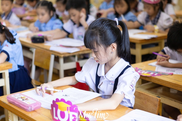 780 học sinh thi chung kết Giải Lê Quý Đôn trên ấn phẩm Nhi Đồng TP.HCM- Ảnh 12.
