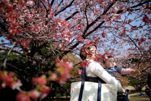 Social norms seen as key factor in Japan's low birthrate- Ảnh 1. Social norms seen as key factor in Japan's low birthrate- Ảnh 1.