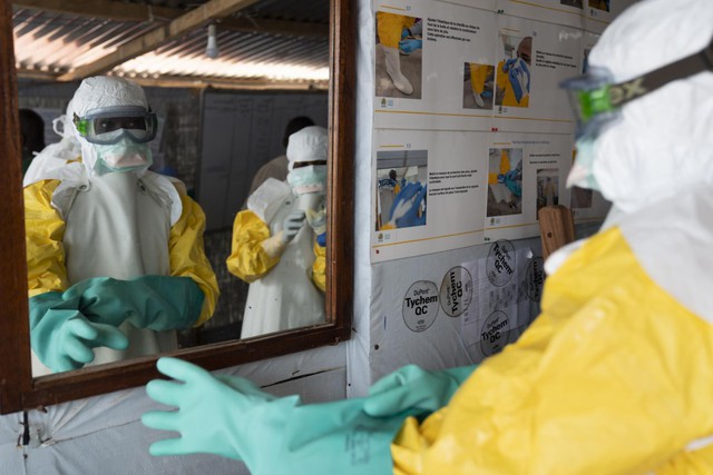 Virus Ebola là gì? Bệnh do virus Ebola gây ra nguy hiểm thế nào? - Ảnh 1.