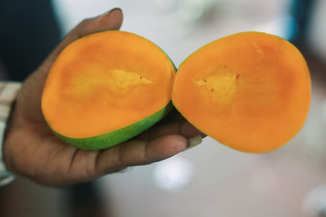 India’s prized Alphonso mango crop ruined by weather - Ảnh 2.