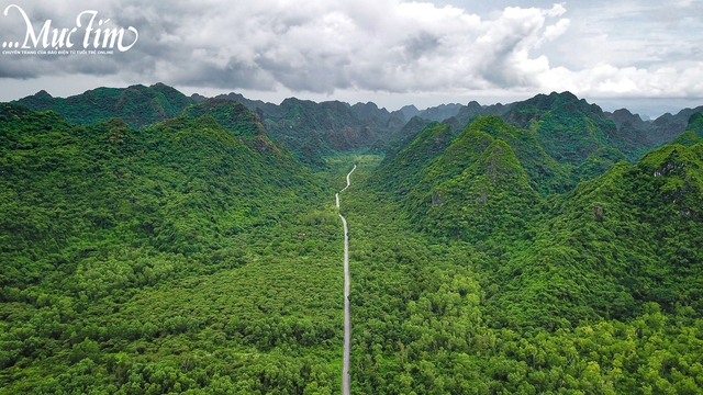 Những hòn đảo xanh mát cho teen đón hè- Ảnh 5.