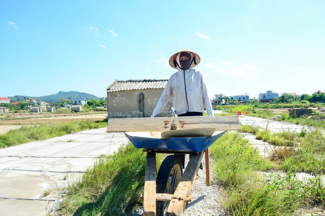 Salt farmers toil under scorching 40-degree heat in Vietnam’s Thanh Hoa- Ảnh 1.