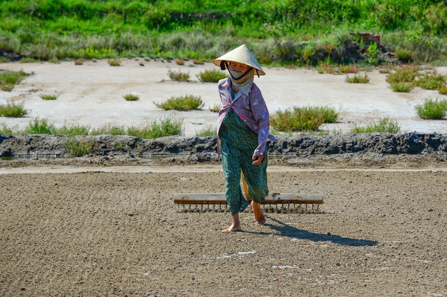 Salt farmers toil under scorching 40-degree heat in Vietnam’s Thanh Hoa- Ảnh 2.