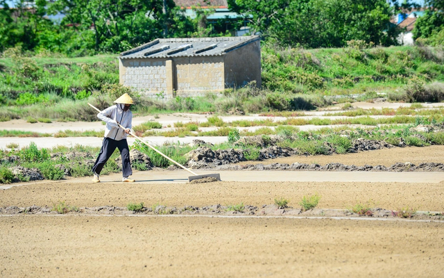 Salt farmers toil under scorching 40-degree heat in Vietnam’s Thanh Hoa- Ảnh 3.