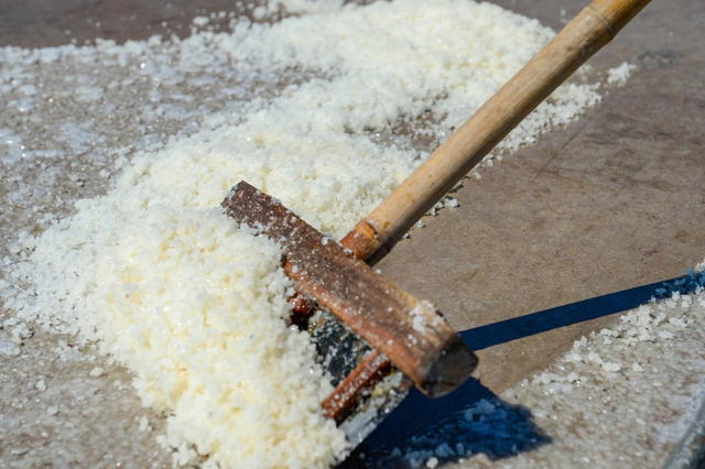 Salt farmers toil under scorching 40-degree heat in Vietnam’s Thanh Hoa- Ảnh 6.