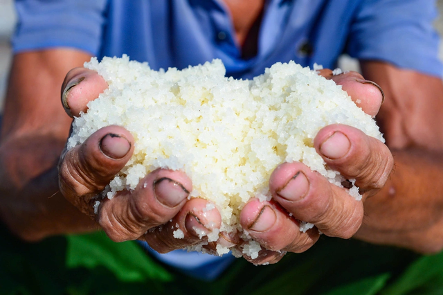 Salt farmers toil under scorching 40-degree heat in Vietnam’s Thanh Hoa- Ảnh 7.