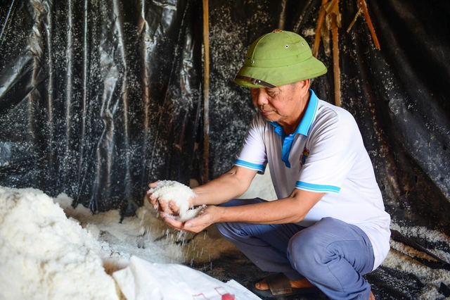 Salt farmers toil under scorching 40-degree heat in Vietnam’s Thanh Hoa- Ảnh 8.