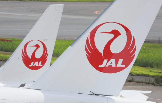 JAL bans cabin attendants from drinking before return flights- Ảnh 1.