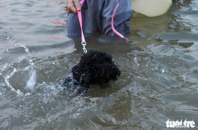 Hanoi residents cool off in river amid scorching heatwave- Ảnh 6.