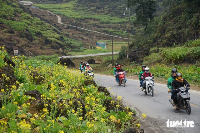 Vietnamese motorbike taxi driver prosecuted in crash that killed British tourist- Ảnh 1.