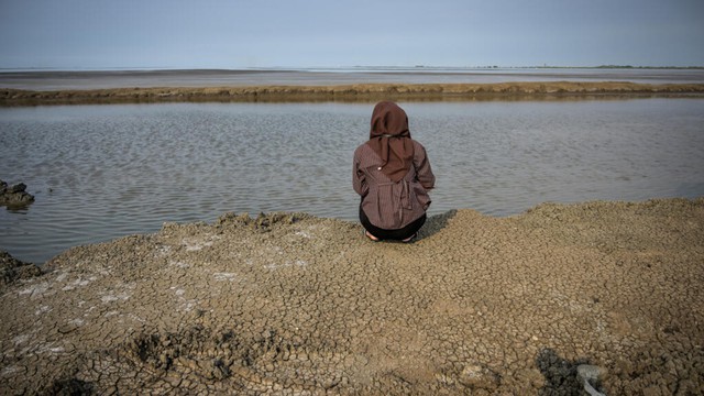 2 decades later, impacts from Indonesia mud volcano linger - Ảnh 1.