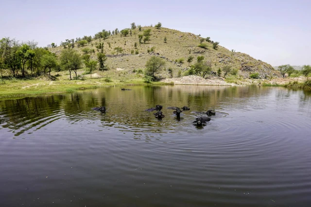 Mining turns India's heat-shield hills to dust - Ảnh 6.