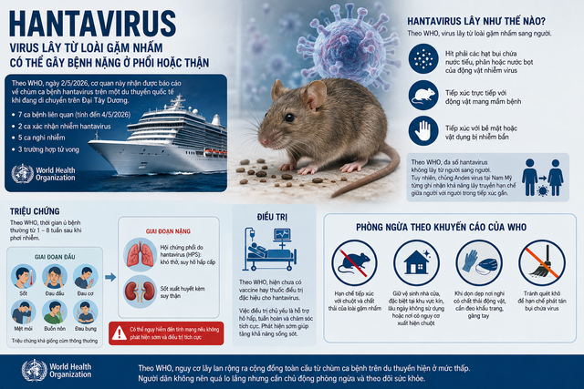 Virus Hanta là gì mà WHO phải phát cảnh báo sau chùm ca bệnh trên du thuyền? - Ảnh 1.