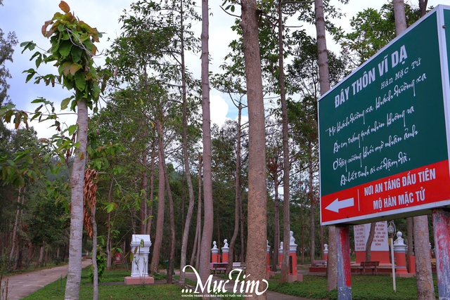 Mùa hè vi vu phố biển Quy Nhơn (Gia Lai) nên đi đâu?- Ảnh 14.