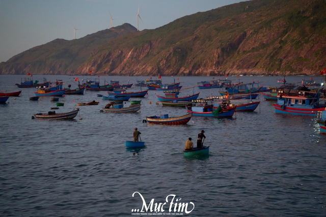 Mùa hè vi vu phố biển Quy Nhơn (Gia Lai) nên đi đâu?- Ảnh 19.