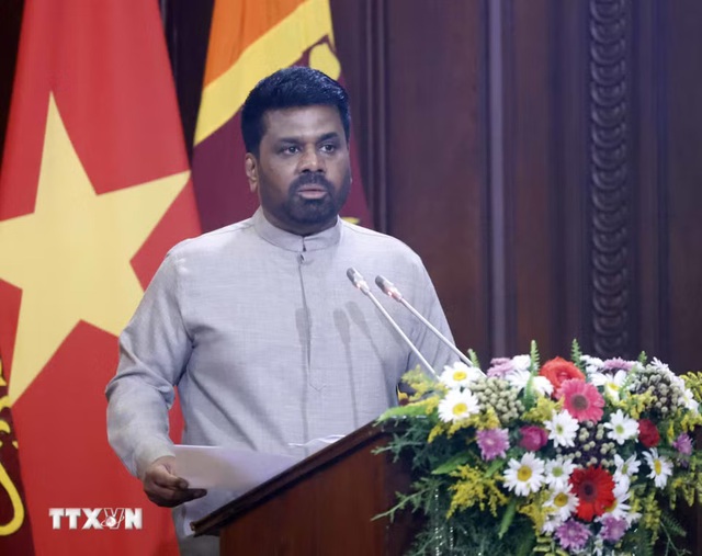 Vietnam, Sri Lanka upgrade ties to Comprehensive Partnership - Ảnh 3.