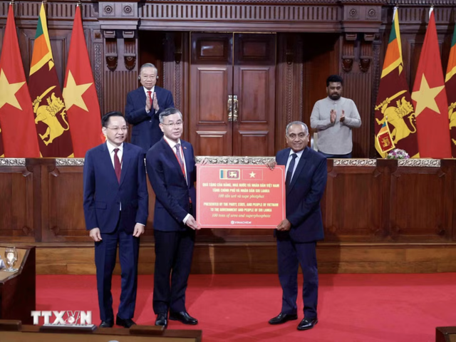 Vietnam, Sri Lanka upgrade ties to Comprehensive Partnership - Ảnh 6.