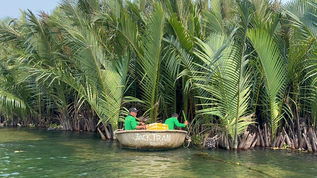Da Nang proposes entrance fee for Cam Thanh nipa palm forest- Ảnh 2.