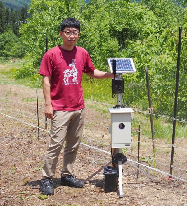 Japan testing AI-powered system to automatically repel bears - Ảnh 1. Japan testing AI-powered system to automatically repel bears - Ảnh 1.