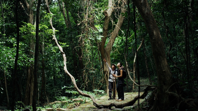 Con Dao’s ‘Hidden Season’ offers window into nature, wellness, discovery - Ảnh 2.